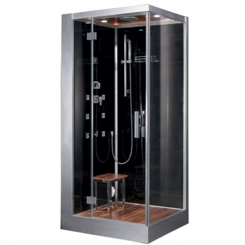 Platinum DZ960F8 Steam Shower