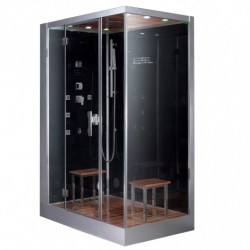 Platinum DZ961F8L Steam Shower