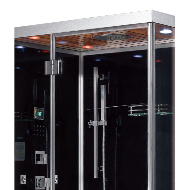 Platinum DZ959F8L Steam Shower