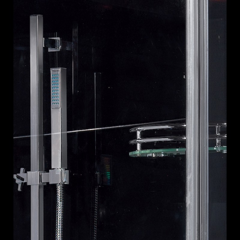 Platinum DZ959F8L Steam Shower
