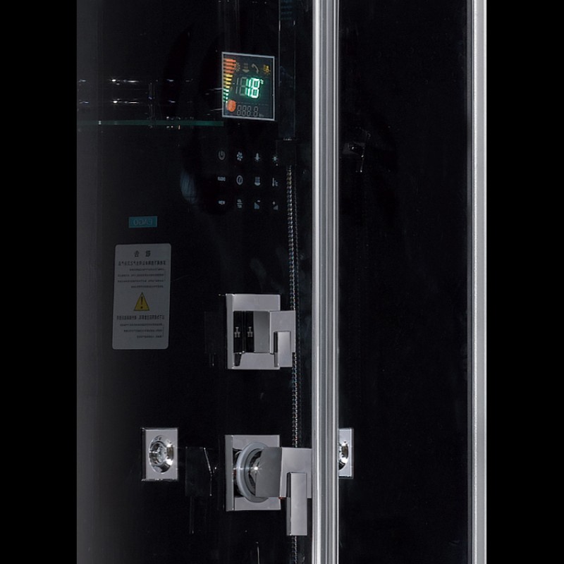 Platinum DZ959F8L Steam Shower