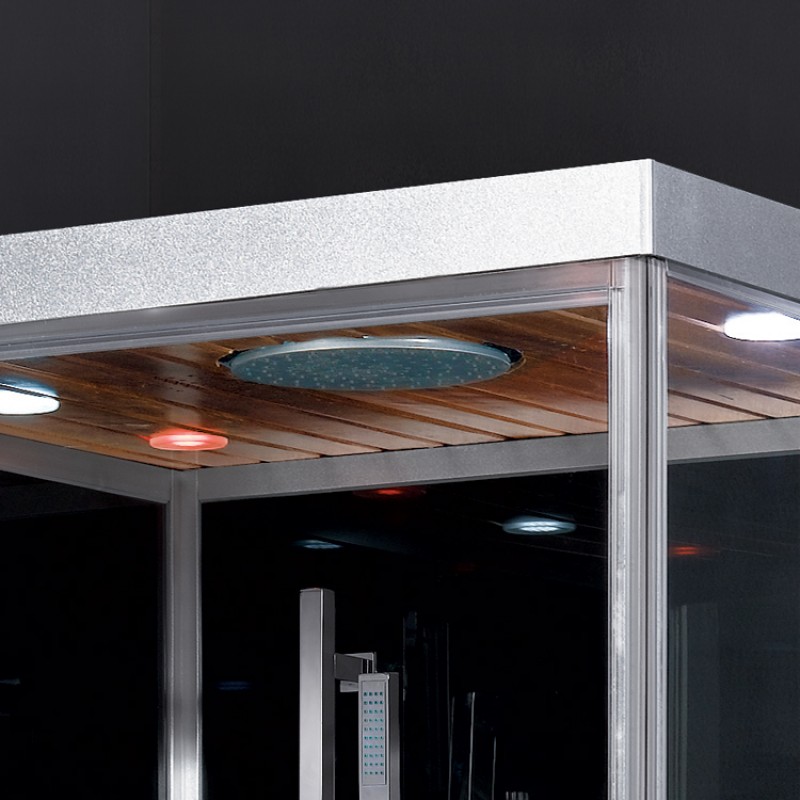 Platinum DZ960F8 Steam Shower