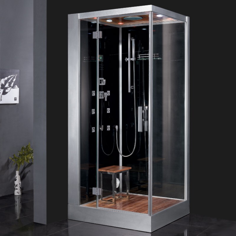 Platinum DZ960F8 Steam Shower