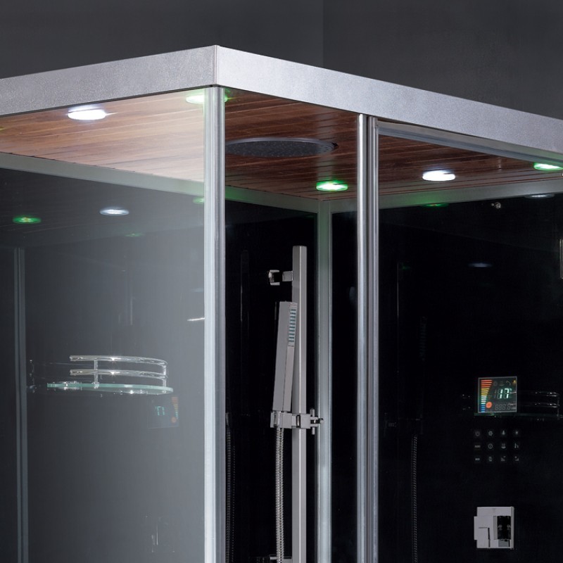 Platinum DZ961F8R Steam Shower
