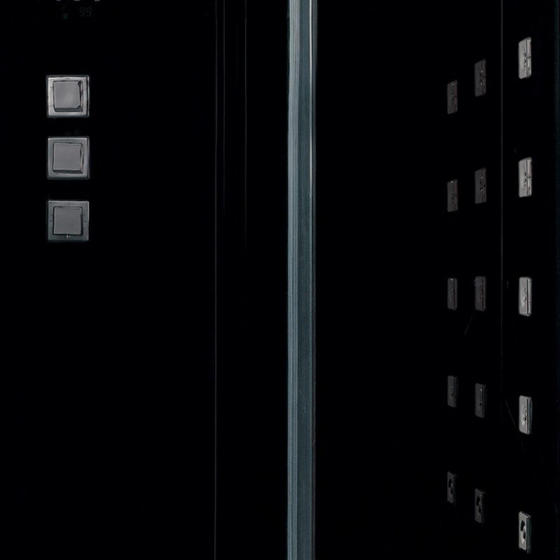 Platinum DZ972F8 Steam Shower